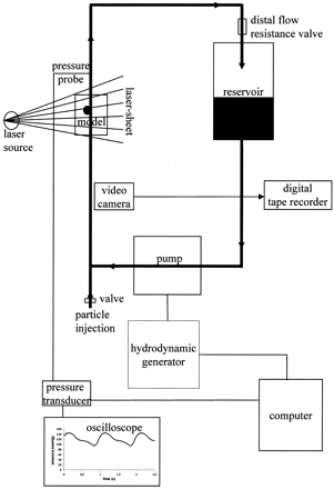 Fig 3.