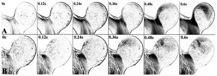 Fig 8.