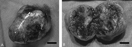 Fig 4.