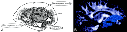 Fig 7.