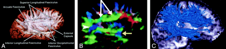 Fig 8.