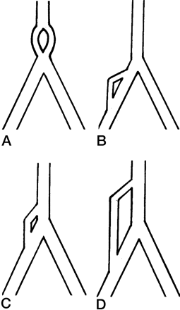 Fig 5.