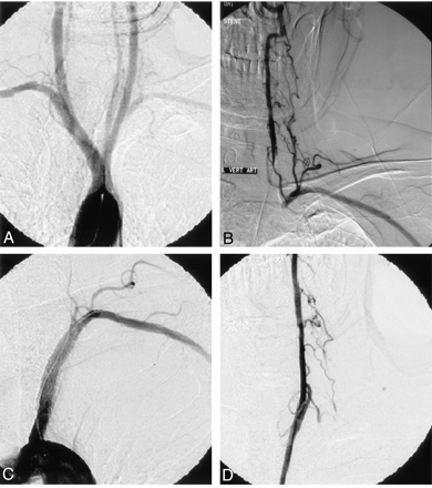 Fig 1.