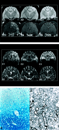 Fig 2.