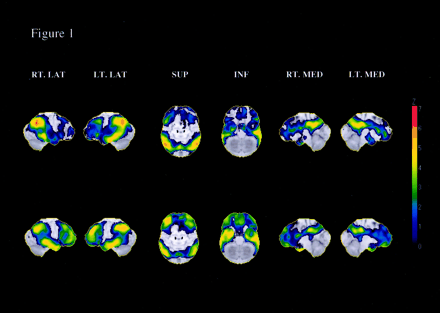 Fig 1.