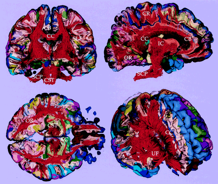 Fig 7.