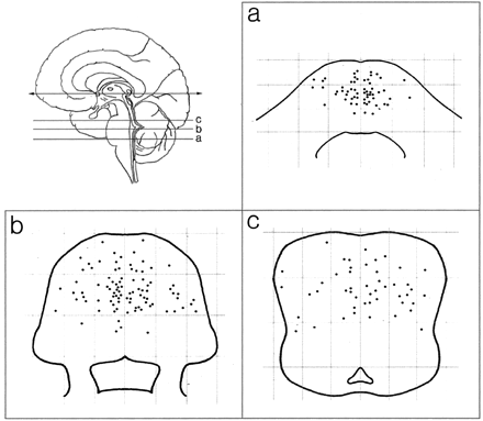 Fig 1.