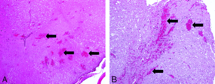 Fig 2.