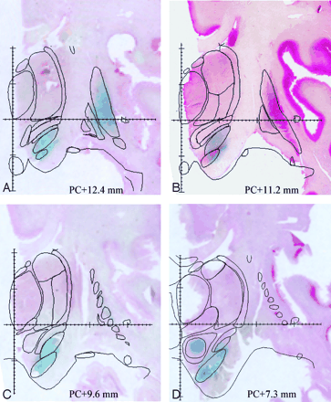 Fig 2.
