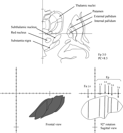 Fig 3.