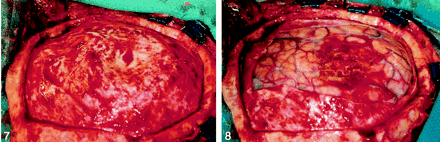 Fig 7.