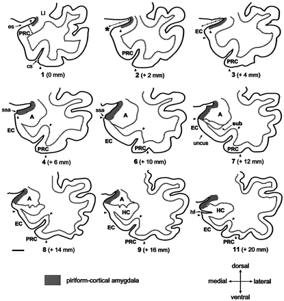 Fig 5.