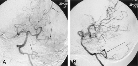 Fig 1.