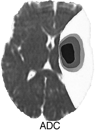 Fig 1.