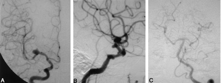 Fig 1.