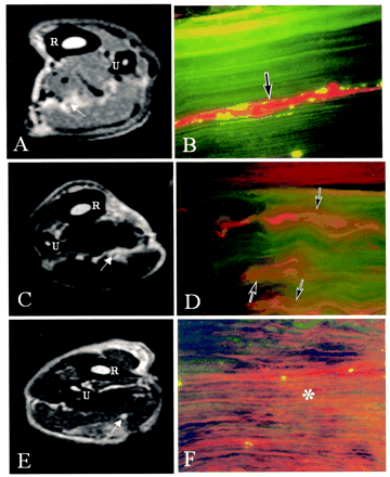 Fig 2.