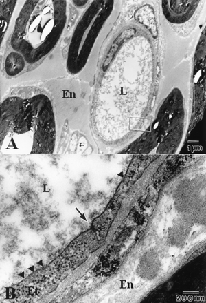 Fig 3.