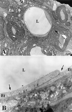 Fig 4.
