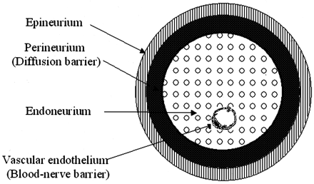 Fig 6.