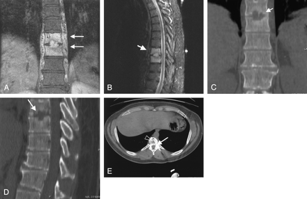 Fig 1.