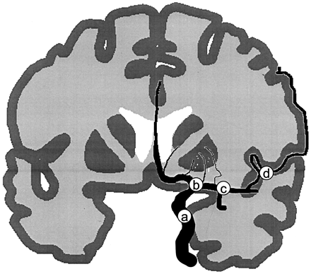 Fig 1.