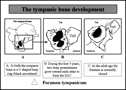 Fig 5.