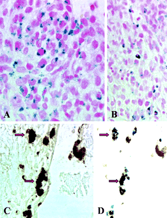 Fig 2.