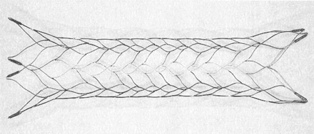 Fig 1.