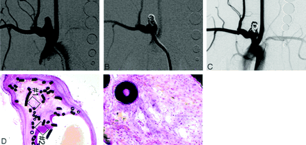 Fig 2.