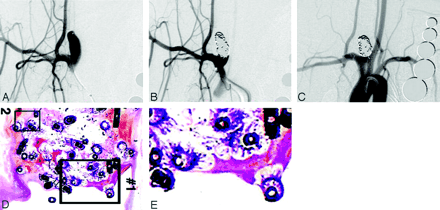 Fig 3.