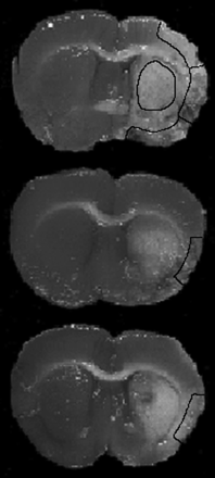 Fig 1.