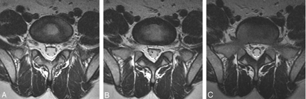 Fig 1.