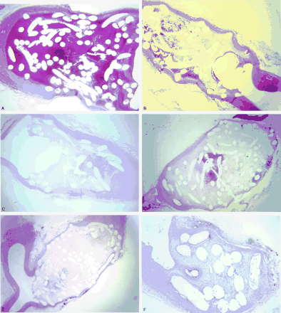 Fig 2.