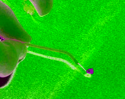 Fig 3.