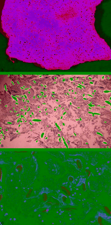Fig 4.