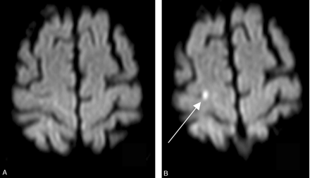 Fig 1.