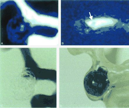 Fig 6.