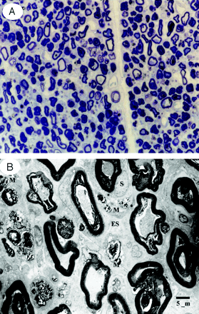 Fig 4.
