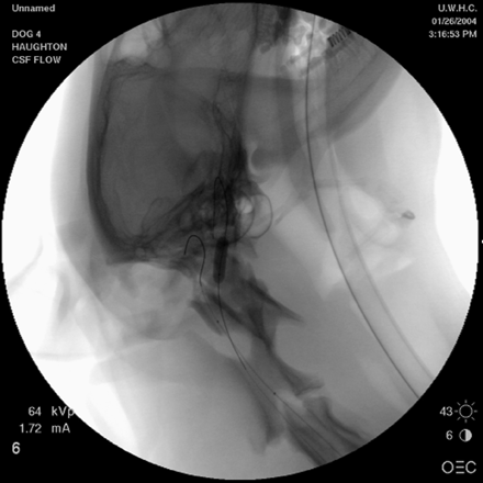 Fig 1.