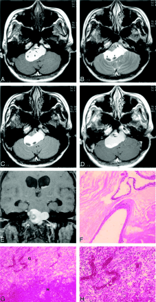   Fig 1. 