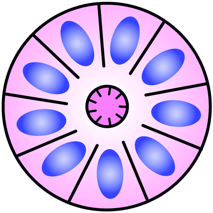 Fig 5.