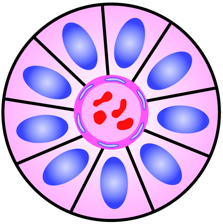 Fig 9.