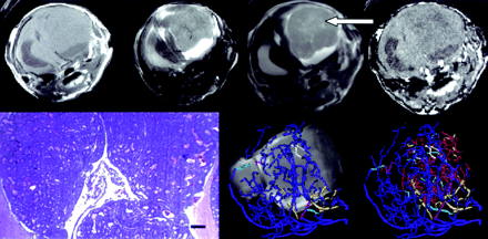 Fig 4.