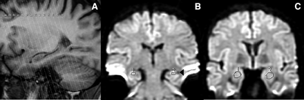 Fig 1.