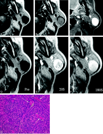 Fig 1.