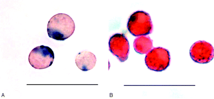 Fig 3.