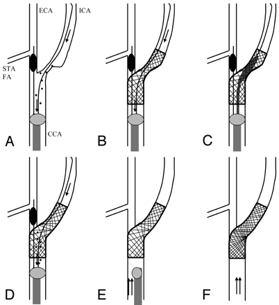 Fig 1.