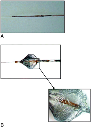 Fig 1.