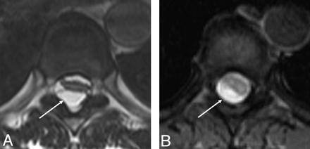 Fig 2.