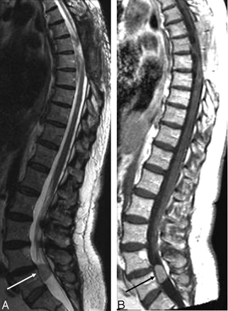 Fig 7.